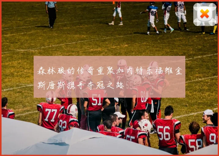 森林狼的传奇重聚加内特乐福维金斯唐斯携手夺冠之路